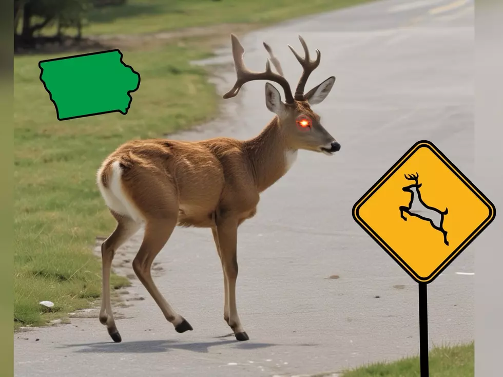 Warning! Iowa Is One Of The Most Dangerous States For Deer Collisions