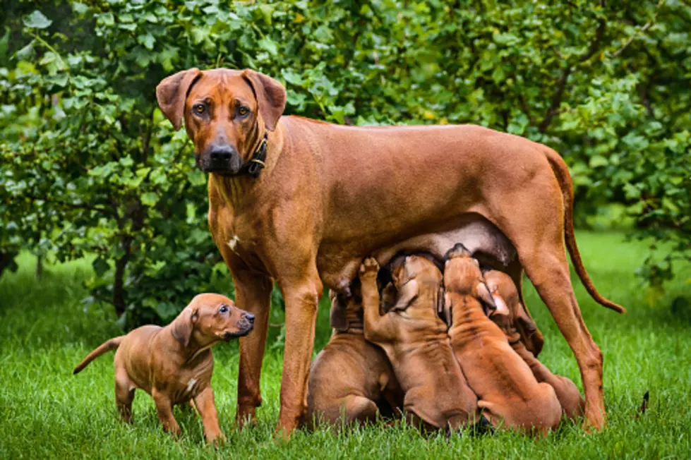Getty Images/iStockphoto