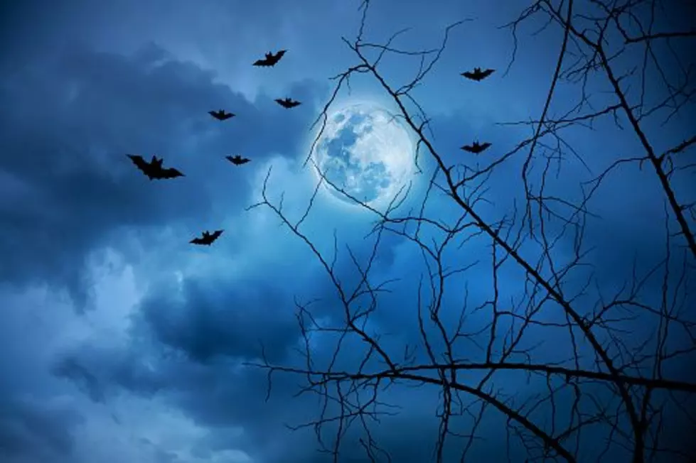 The Hunter’s Moon Is Coming to the Quad Cities Before Halloween