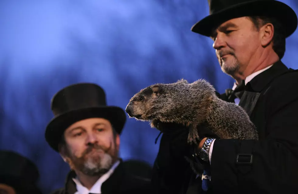 Punxsutawney Phil Has Been Indicted