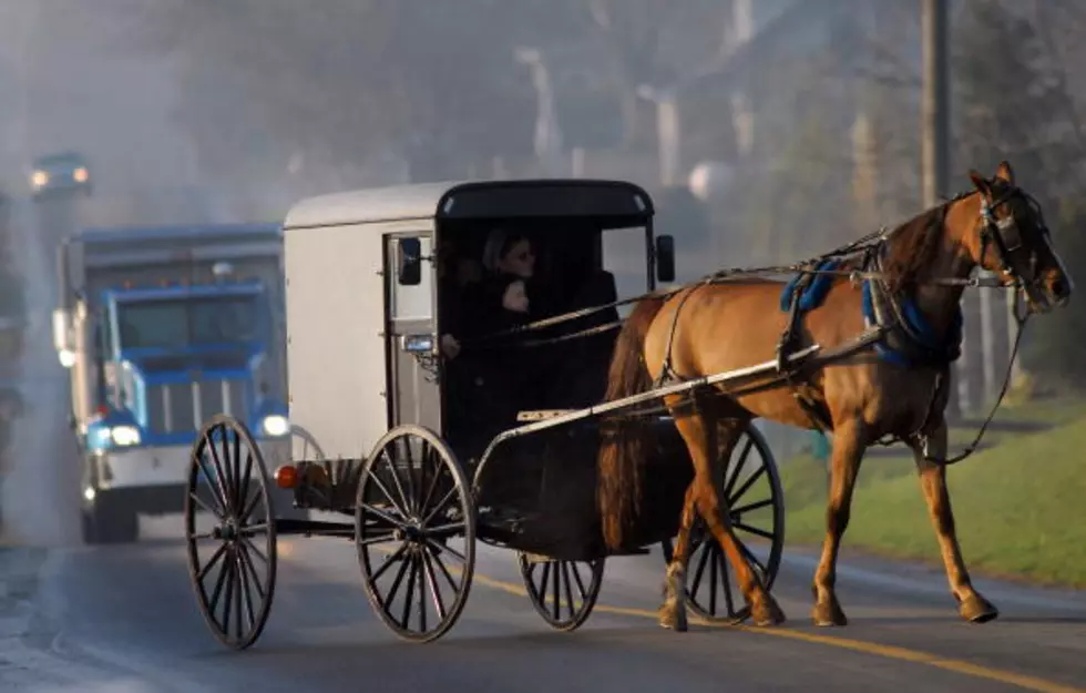 Amish Drag Racing is About Real Horse Power