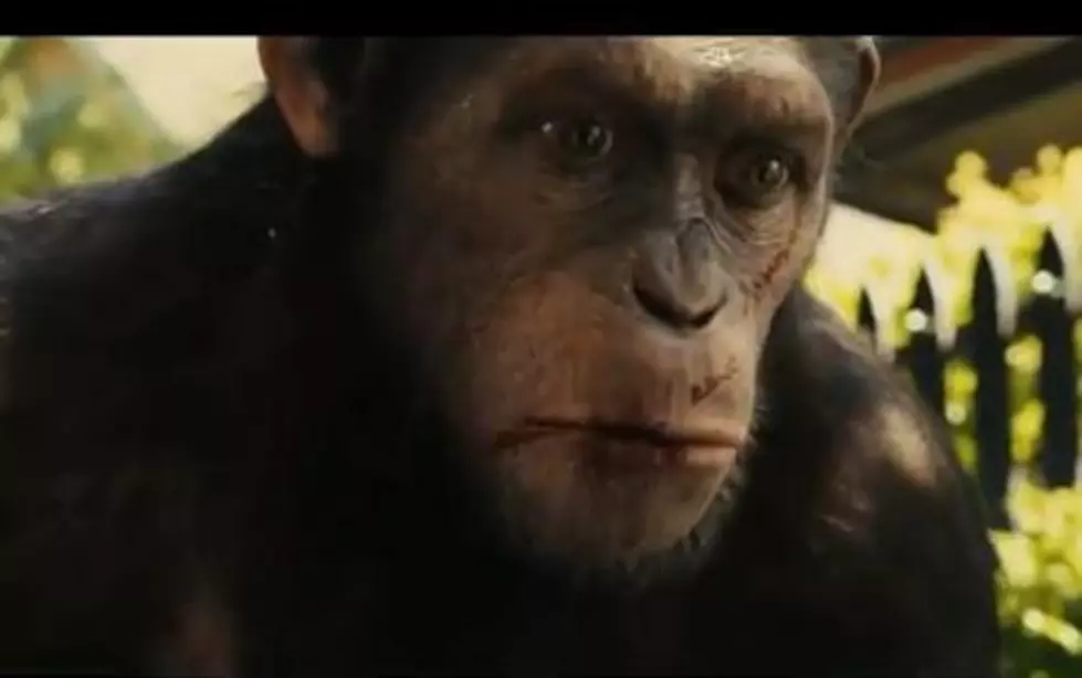 ‘Rise Of The Planet of The Apes’ Extended Clip [VIDEO]