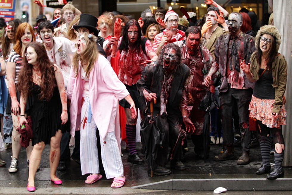 Zombie Film Feast Invades Albany This Weekend