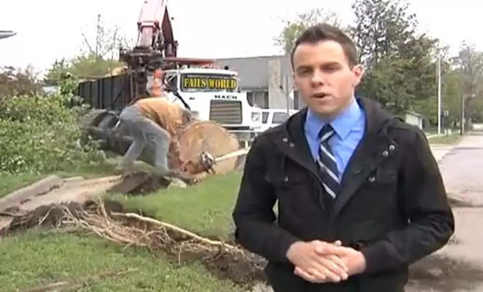 Chainsaw FAIL On Live TV [VIDEO]