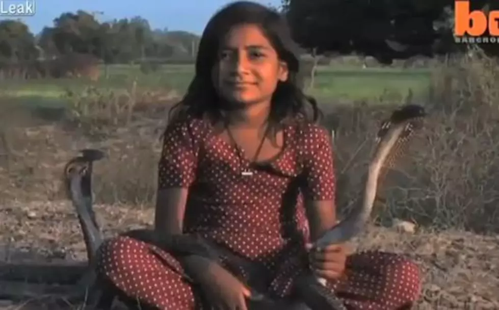 Little Girl In India Has Most Dangerous Pets Ever [VIDEO]