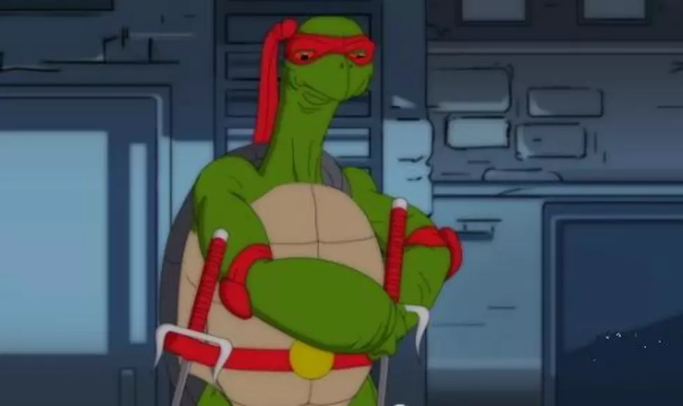 What If The Ninja Turtles Were Scientifically Accurate [VIDEO]