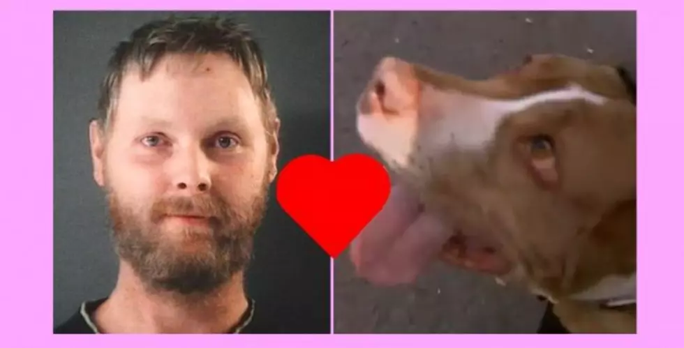 Dude Gets 15 Years In Jail For Sex With Pit Bull &#8211; Too Much Puppy Love Can Be A Bad Thing