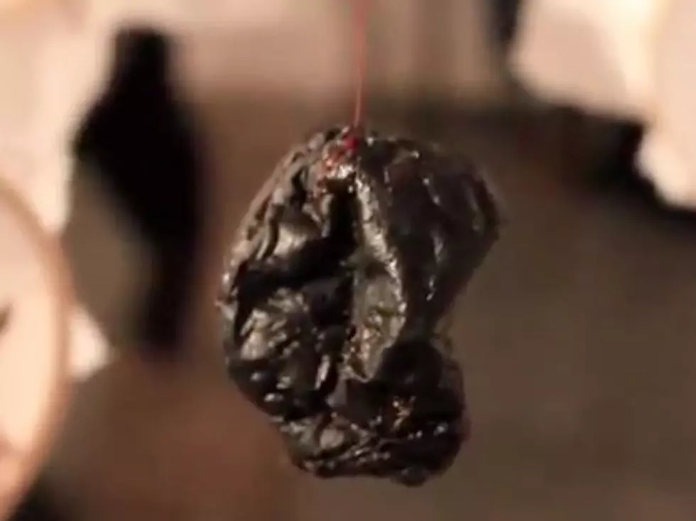 Chilean Woman Uses Her Own Blood As Art