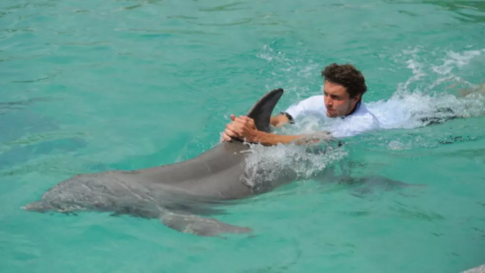 Poker Player Tricks ESPN Into Believing He Trains Dolphins For A Living [VIDEO]