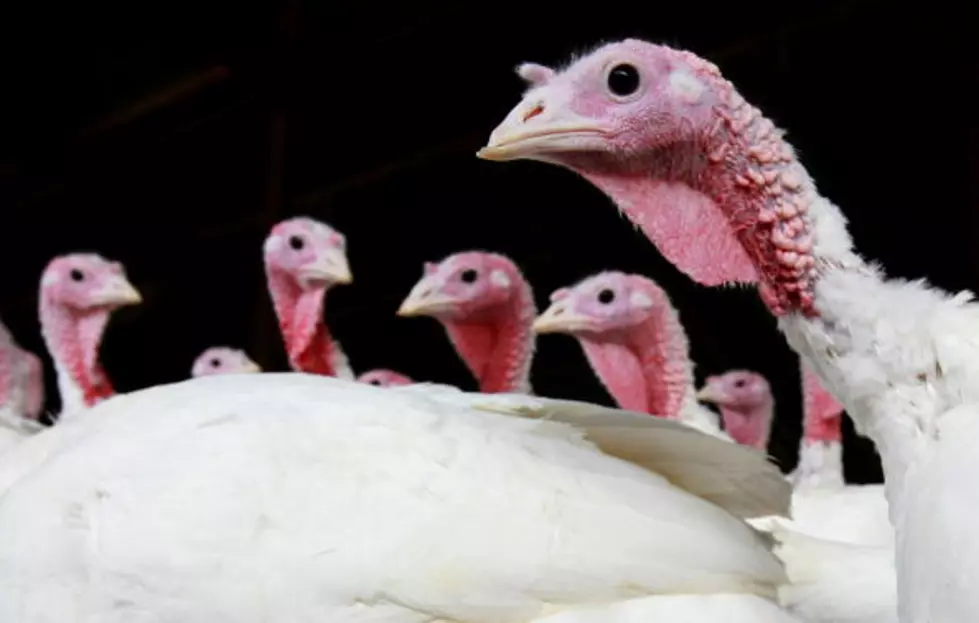 Crazy Women Have Frozen Turkey Fight In Supermarket