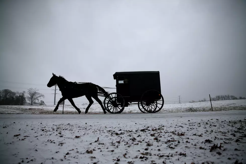Hit And Run With An Amish Horse Drawn Buggy – Cause That’s How They Roll
