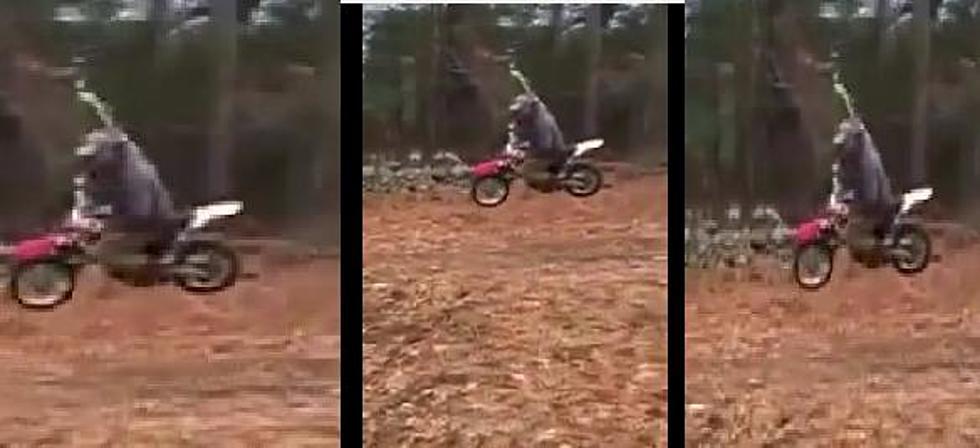 This Dirt Bike Rope Swing Rules So Hard [VIDEO]