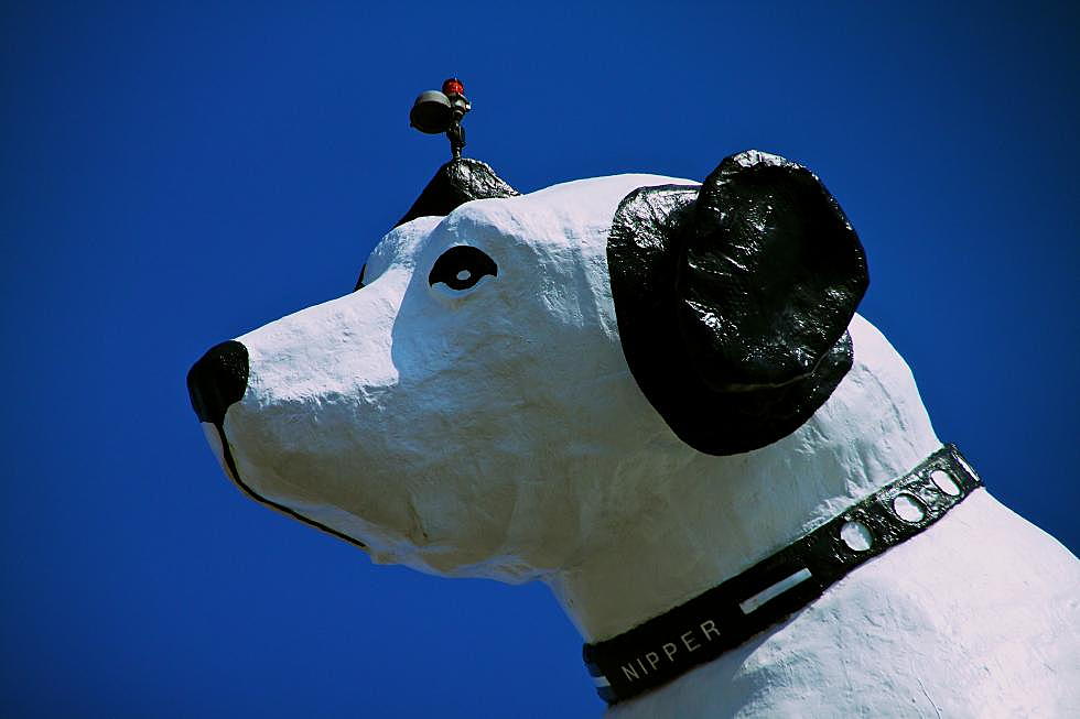 Own a 30-Foot-Tall Dog and The Building It Sits On