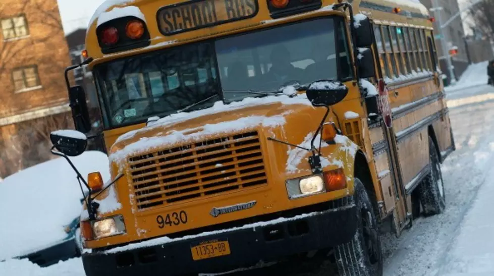 Woman Road Rages on School Bus in Guilderland