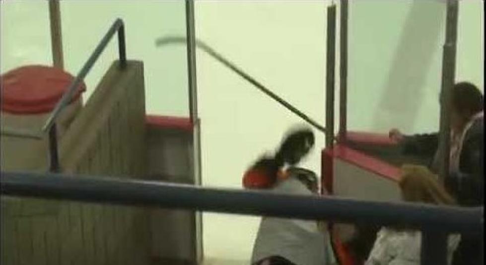 Hockey Player Cross Checks His Own Head Off [VIDEO]