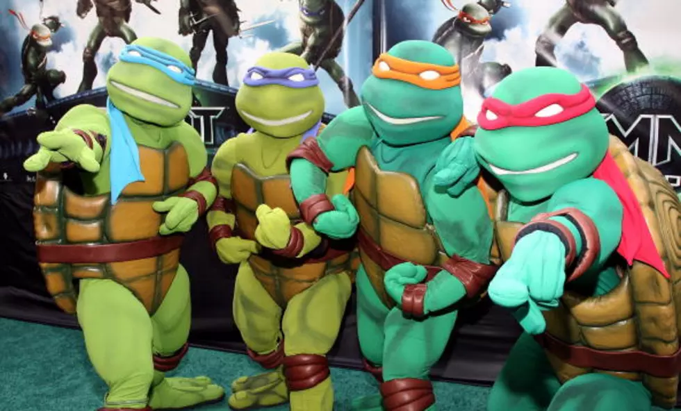 “Teenage Mutant Ninja Turtles 2″ In Albany?!
