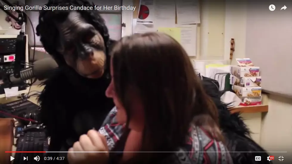 A Gorilla Invaded The Q Studio &#8230; And My Personal Space
