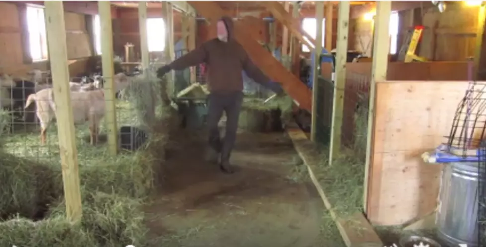 This Sharon Springs Dancing Farmer Should Be Everyone&#8217;s #WorkGoals