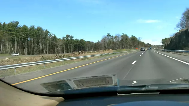 Why Are Trees Being Removed from the Thruway?