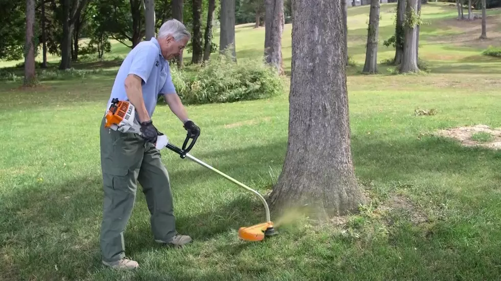 Capital Region Man Assaulted With Grass Trimmer