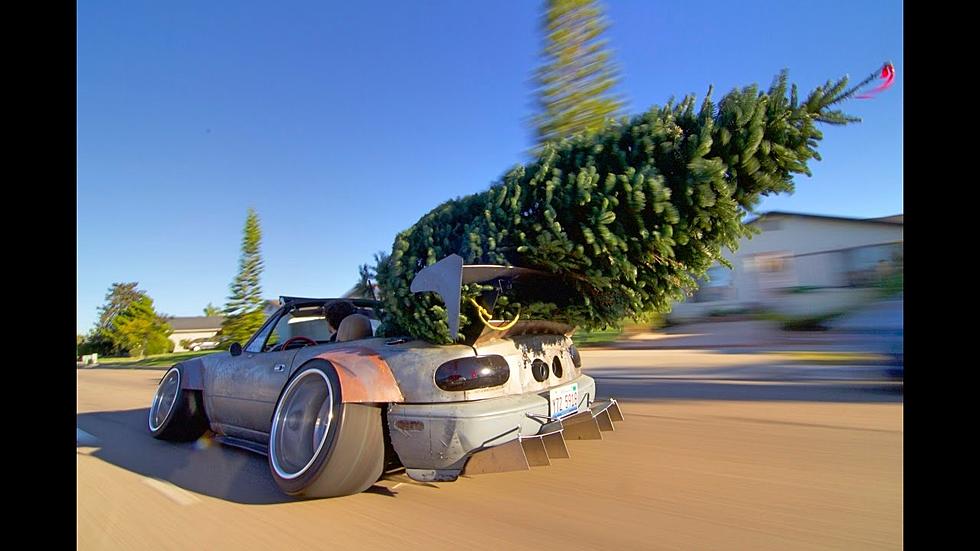 Police Stop Car Carrying Massive Christmas Tree