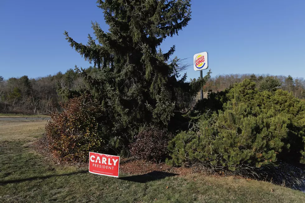 Troy Man Arrested After Being Caught Trimming Tree at Burger King