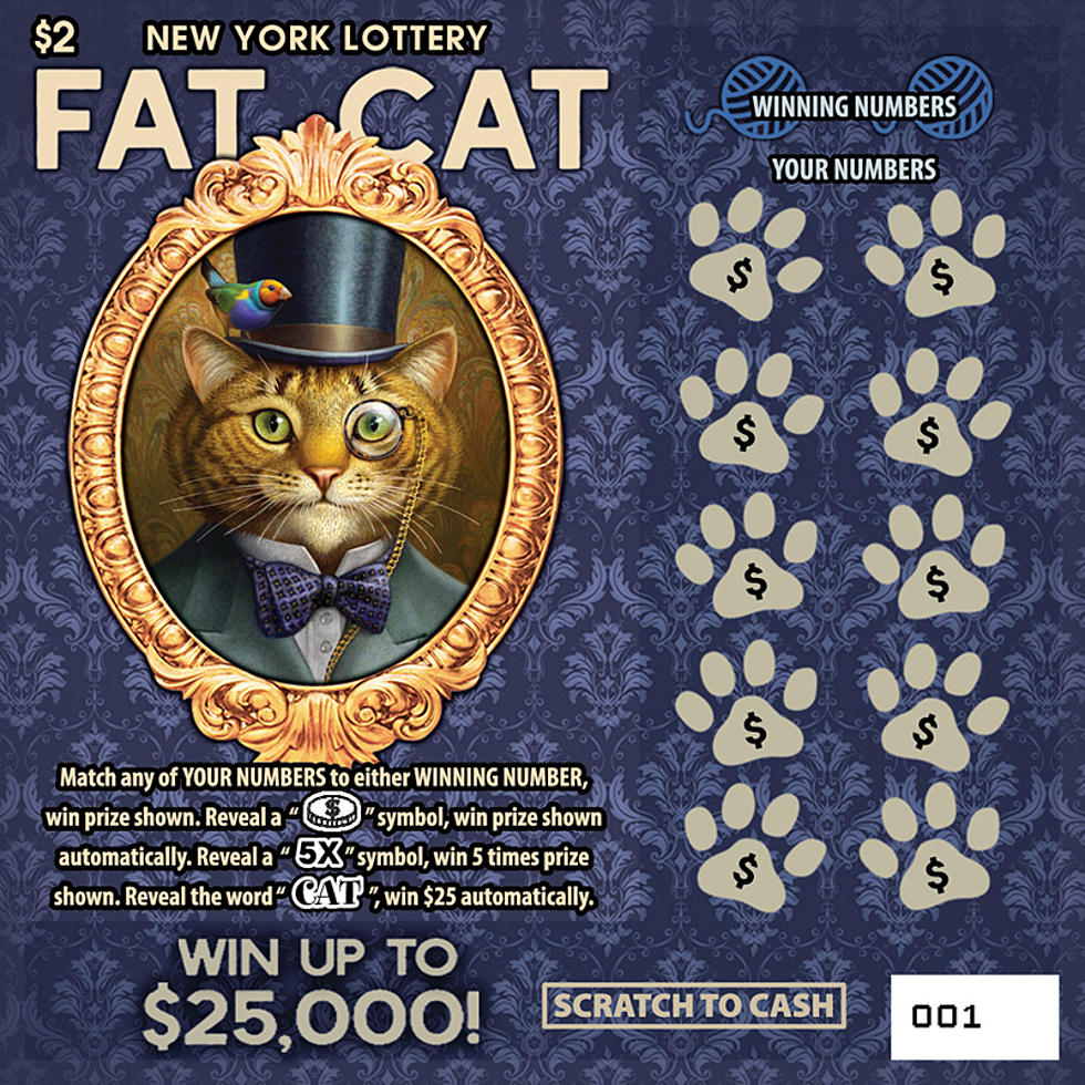 Play ‘Fat Cat Movie Trivia’ to WIN 25 Fat Cat Scratch Off Tickets