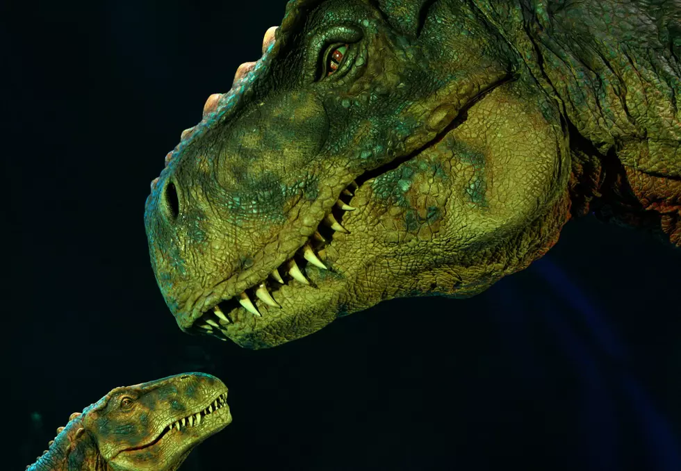 Lake George&#8217;s Magic Forest To Be Transformed Into Dino Roar Valley