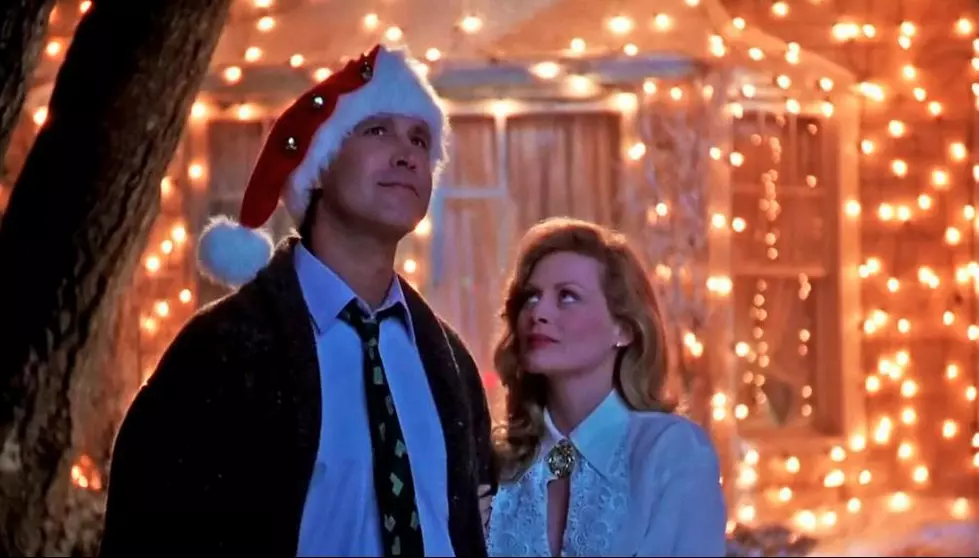 How National Lampoon's Christmas Vacation Changed My Life 30 Year