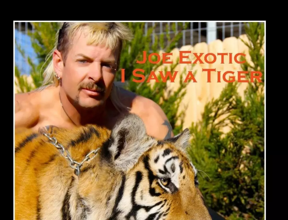 The Best Joe Exotic/Tiger King Items Fans Can Buy Online