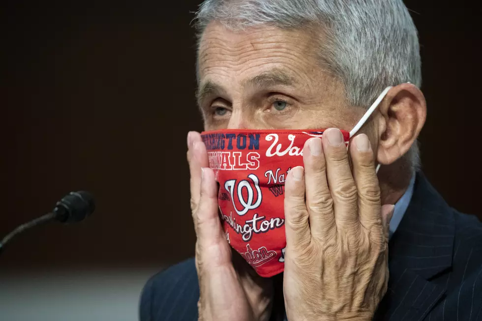 Dr. Fauci To Throw Out First Pitch Of The 2020 MLB Season
