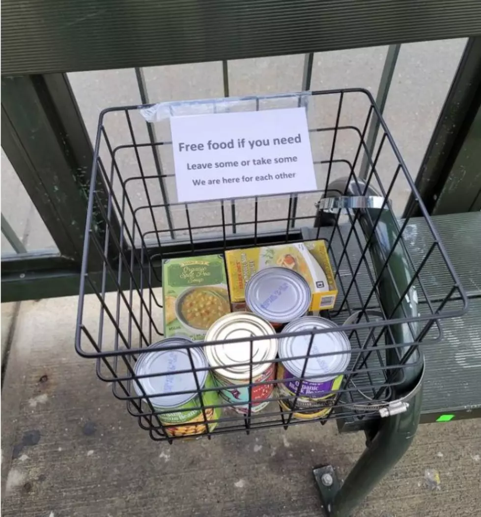 A Stranger is Stocking Bus Stop Food Baskets in Capital Region