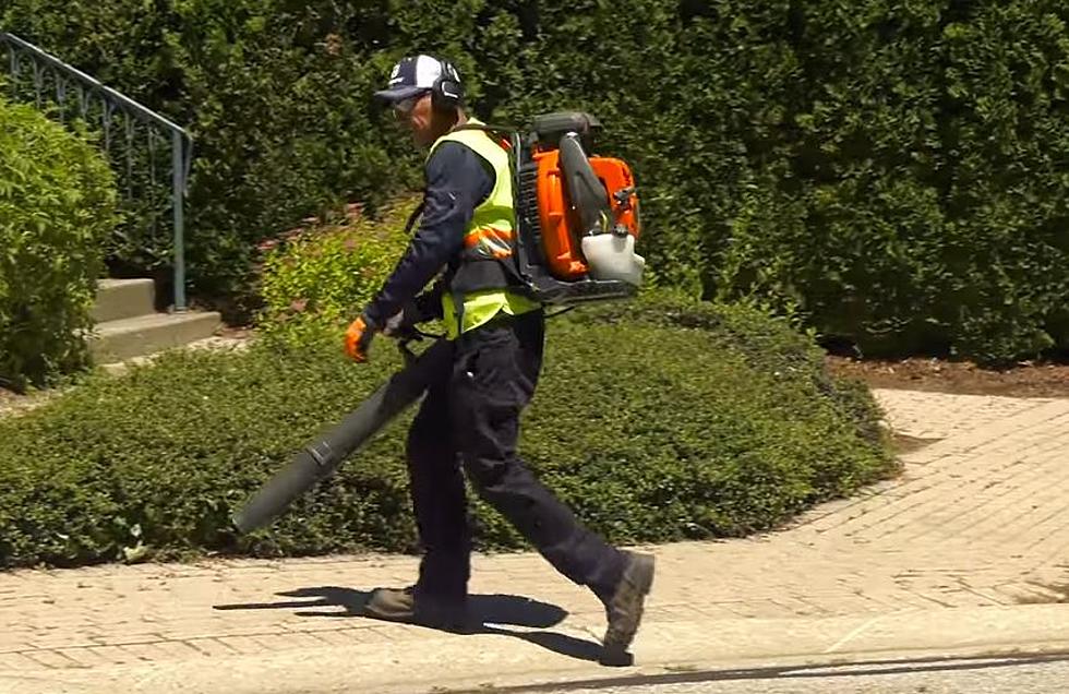 Warning – New York Towns To Impose Ban On Use Of Leaf Blowers