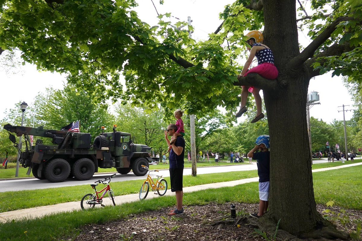 160 Year Old Waterloo, NY Tree Holds the Legend of Memorial Day