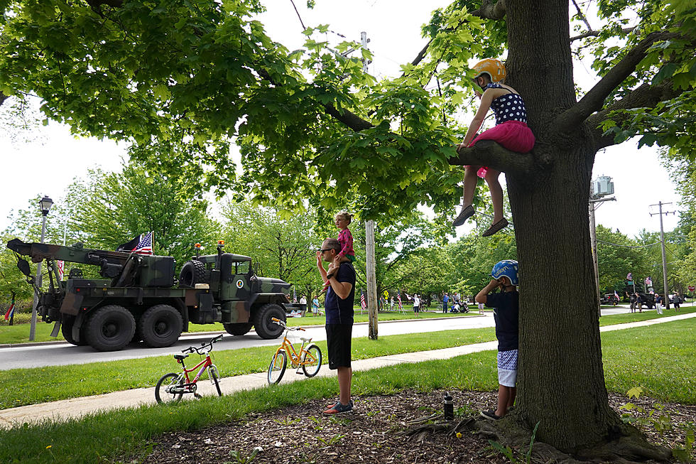 160 Year Old Waterloo, NY Tree Holds the Legend of Memorial Day