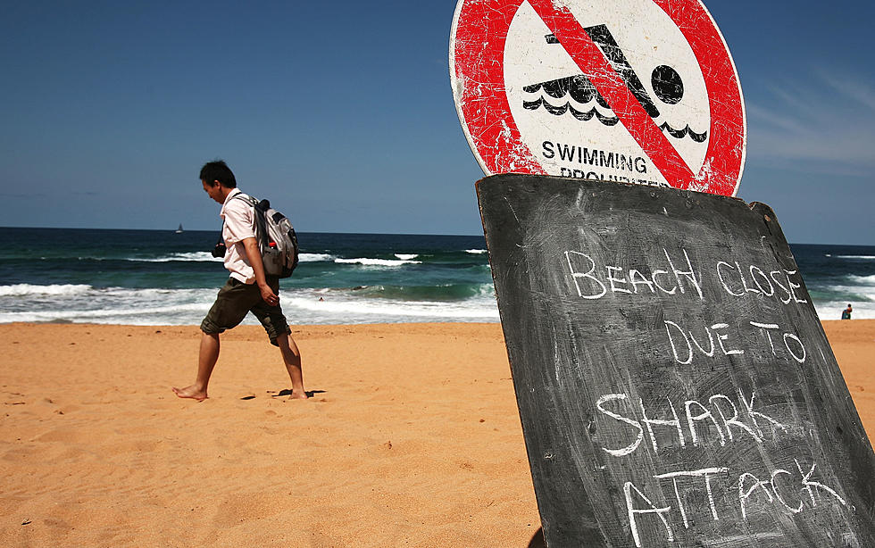 Scary Shark Attack on Lifeguard Closes Beaches on Long Island