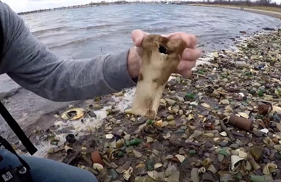 Dead Horse Bay NY a Macabre Beach of Bottles, Boats, and Bones