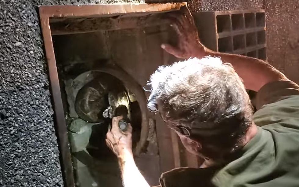 7-foot Snake In Your Storm Drain? The Answer Was Yes in One Hudson Valley Town [Video]