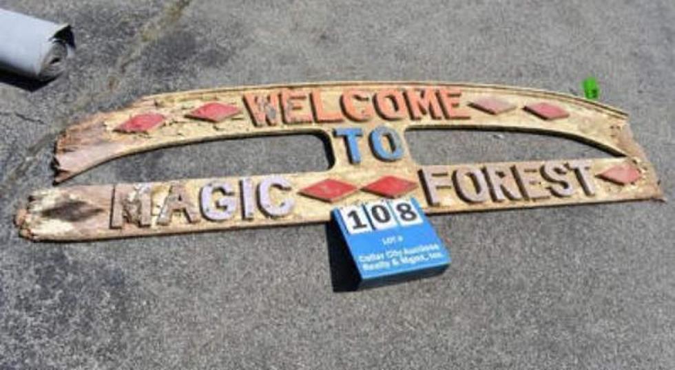 Want to Own a Piece of Magic Forest or Storytown, Lake George? Check Out this Auction