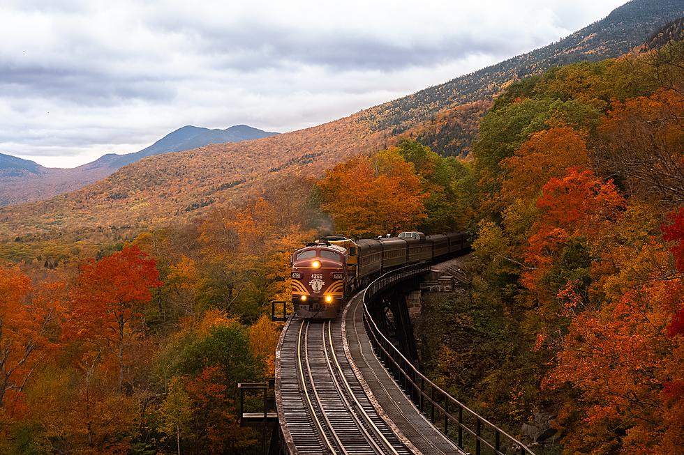 All Aboard! See the Fall Foliage From These Upstate NY Trains
