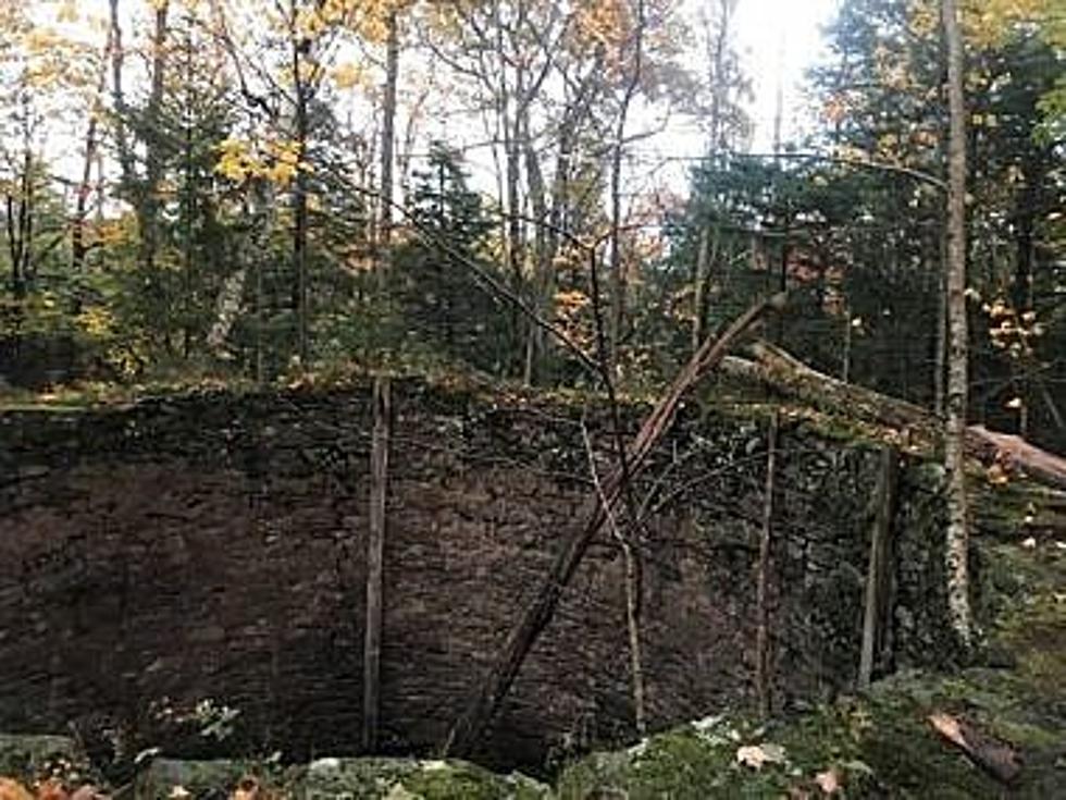 911! Dog Falls Into a Well in Catskills