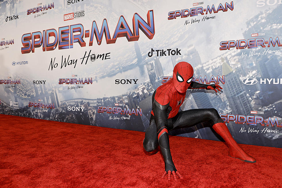 Upstate New York Casting Call! Would You Like to Star As the Next Spider-Man?