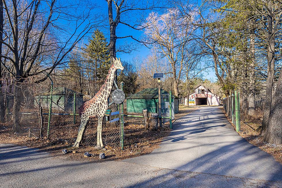 Abandoned Catskill Game Farm For Sale! Want to Explore This Legendary Attraction?