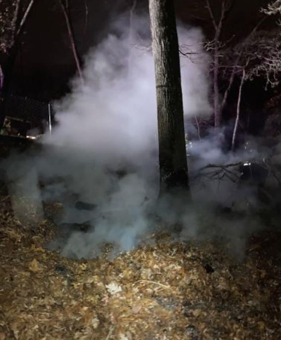 New York Homeowner Smokes Out Neighborhood with Backyard Fire! But How?