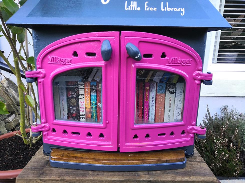 Looking To Donate Used Books? Donate To The Little Free Library