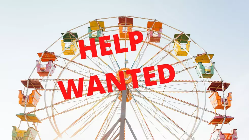 The New York State Fair Has A job For You! Looking for Work?