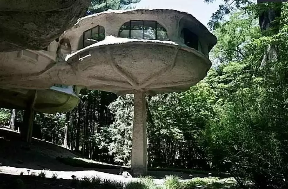 Rent New York's Most Unique Home, The Mushroom House