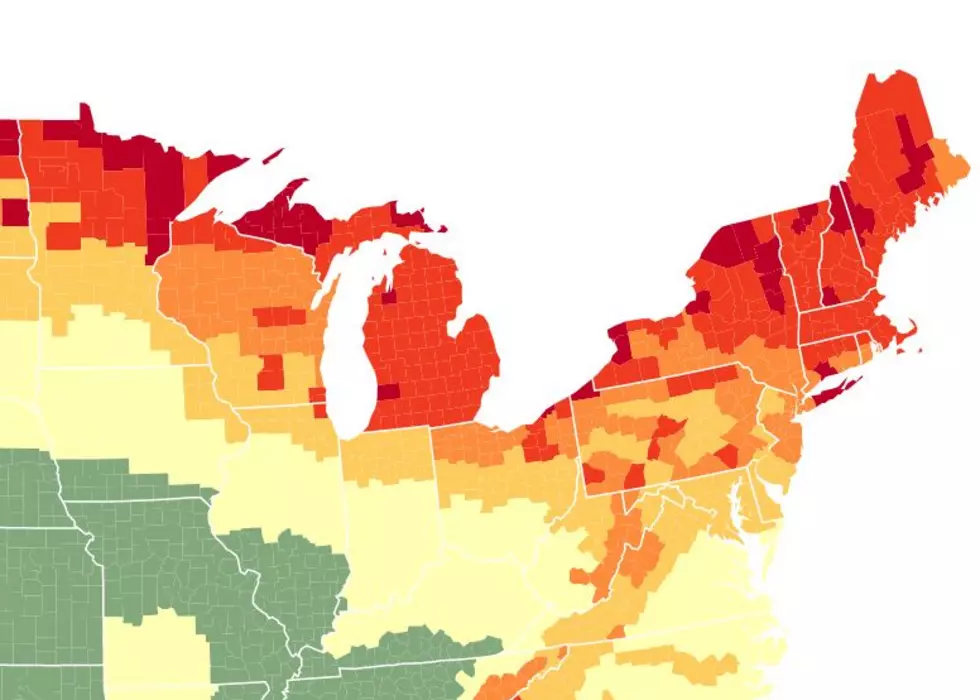 NY 2022 Fall Foliage Predictions! This Is When to See Peak Colors!