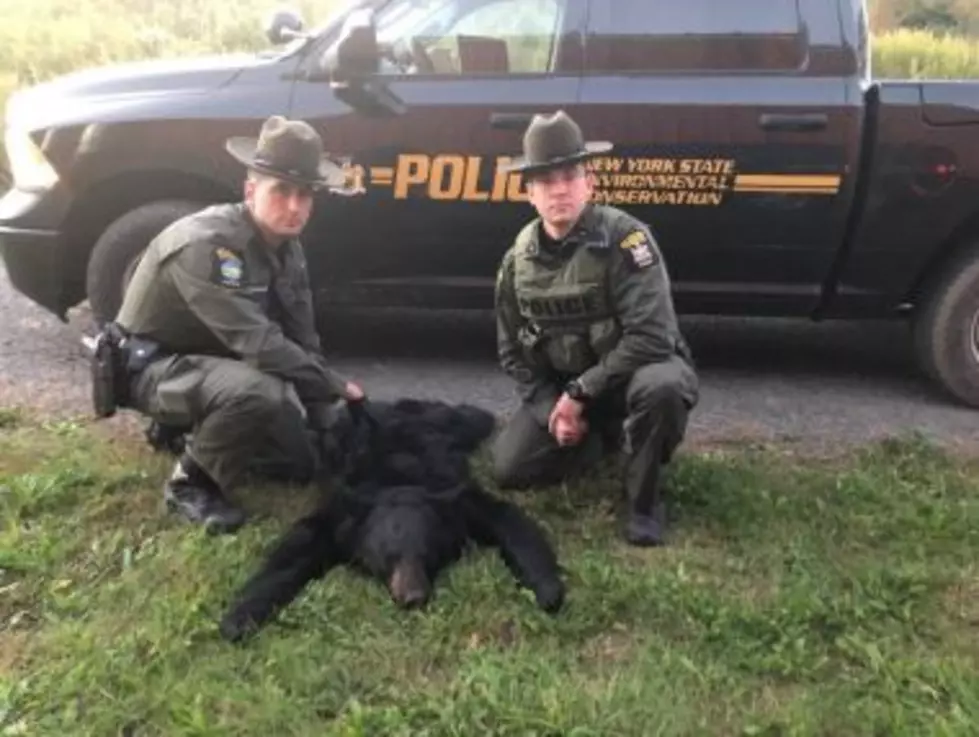 Illegal Kill In Upstate NY! Hunters Charged After Shooting Bear!