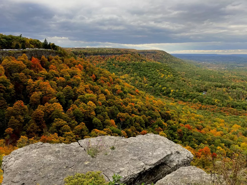 NY Leaf Peeping This Weekend? See Where To Go for the Best Colors!